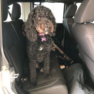 Meet your Posher, Jeff